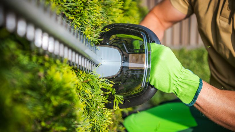 Akumulatorske škarje za živo mejo